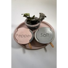 Feyza Design Şık Beton Celery Tuzluk Biberlik Seti, Kaşıkli, Modern ve Dayanıklı