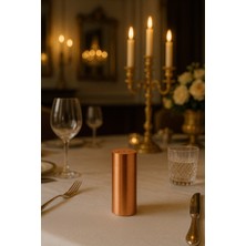 Feyza Design Paslanmaz Çelik Copper Tuzluk, 9x3,5 Cm, Şık ve Dayanıklı Tasarım