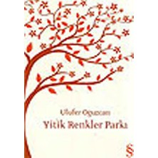 Everest Yayınları Yitik Renkler Parkı