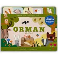 Uçan Fil Bul ve Göster: Orman Kaşifleri