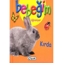 Çiçek Yayıncılık Bebeğim Öğreniyor - Kırda