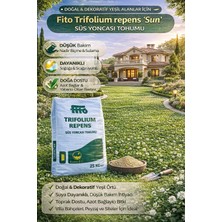 Fito Süs Yoncası Tohumu 'Trifolium Repens' (25 Kg)