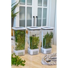 Feyza Design 3'lü Yeşillik Saklama Kabı Seti, 1,7 Litre, Eko ve Pratik Kullanım
