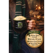 Toyfest Harry Potter Wizarding World Slytherin Kazan Kupa Seramik Mug 372GR Wb Lisanslı Orijinal 11,5cm 9 cm
