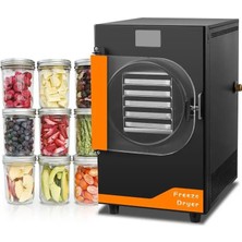 Dalle Dfd-10 Yüksek Teknolojili Freeze Dryer Dondurarak Kurutma Fırını - Liyofilizatör