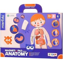 Mieredu Manyetik Tablet - Insan Anotomisi
