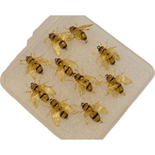 Alabalık Kefal Için Fly Sinek Arı Iğne Seti Kutulu 10'lu