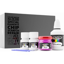 Color N Drive Chevrolet Rötüş Boyası (WA393A) Mystic Violet Pearl Metallic Çizik Giderici Tamir Kiti Spark ve Tüm Modeller ile Uyumlu