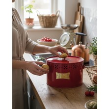 Feyza Design Kırmızı Metal Bölmeli Patates ve Soğan Saklama Kabı 18 Lt
