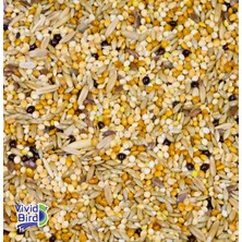 Vivid Karışık Muhabbet Kuşu Yemi