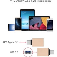 Aesco Ally USB Type C Otg Converter Çevirici BAŞLIK-(5775)