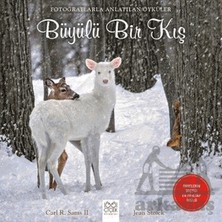 1001 Çiçek Kitaplar Fotoğraflarla Anlatılan Öyküler - Büyülü Bir Kış