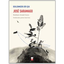 Kırmızı Kedi Çocuk Beklenmedik Bir Işık