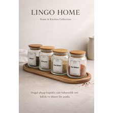 Feyza Design 4'lü Cam Baharatlık Seti, Silikon Contalı, Vakumlu, Saklama Kavanozları