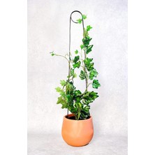 Destek Çubuğu – Siyah Metal Kancalıiğne Model, 65 Cm, Sarmaşık ve Büyük Yapraklı Bitkiler Için