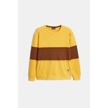 Sarı Erkek Günlük Sweatshirt Bisiklet Yaka Regular Kalıp 3 Iplik M