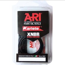 Ariete ARI.138 2006-2016 Triumph Daytona 675 Uyumlu Ön Amortisör Toz Keçesi