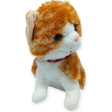 Aesco Sesli Peluş Kedi 25 cm - Sarı (Lisinya)