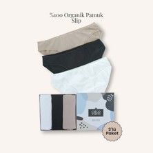 Cielo Venti Must Have | 3'lü Organik Pamuk Slip Külot