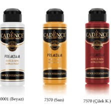 Cadence Premium Boya 120ML 3'lü Set2