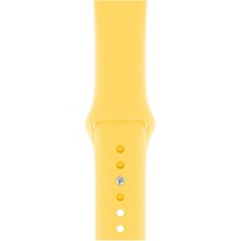 Alstrap Apple Watch 12-11-10 (42MM) 9 8 7 (41MM) 6 5 4 SE(40MM) Uyumlu Silikon Kordon Kayış
