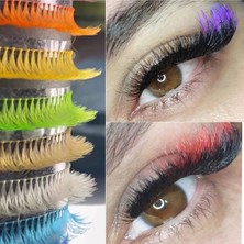 Özgürce Renkli Gökkuşağı Ekspres Kirpik, Klasik Model, 7 Renk, Hızlı ve Şık Görünüm