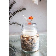 Feyza Design Kırmızı Kuş Figürlü Şeffaf Cam Kavanoz, Şık ve Kullanışlı Tasarım