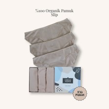 Cielo Venti Must Have | 3'lü Organik Pamuk Slip Külot