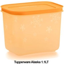 Feyza Design Yüksek Gövde Derindondurucu ve Buzdolabı Saklama Kabı, 1,1 Litre