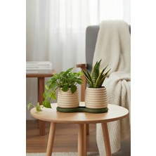 Puffin Design Pair Ikili Saksı