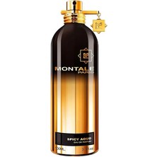 Montale Spicy Aoud Edp 100 ml Unisex Parfüm