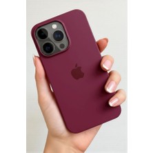 ProNorth Iphone 15 PRO MAX Uyumlu Kılıf Logolu Lansman Soft Yumuşak Içi Kadife Silikon Kapak
