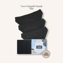 Cielo Venti Must Have | 3'lü Organik Pamuk Slip Külot