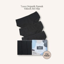 Cielo Venti Must Have | 3'lü Organik Pamuk Yüksek Bel Slip Külot