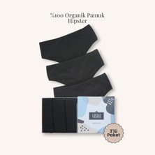 Cielo Venti Must Have | 3'lü Organik Pamuk Hipster Külot