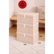 ALAS 3 Adet Çok Amaçlı Baza Altı Mega Boy Giysi Kutu Hurç