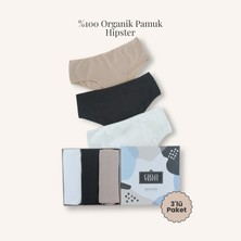 Cielo Venti Must Have | 3'lü Organik Pamuk Hipster Külot