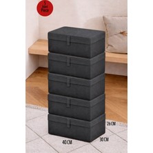 ALAS 5 Adet Çok Amaçlı Baza Altı Giysi & Yastık Mini Hurç