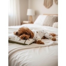 Kemique Teddy Chic Köpek Uyku Takımı | Pamuklu Penye Köpek Tulumu ve Mini Yastık | Küçük Irklar Için | Tüy Dökülmesini Azaltır