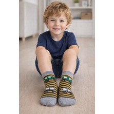 Gigi Giyim Araba Desenli ve Çizgili Erkek Çocuk Soket Çorap