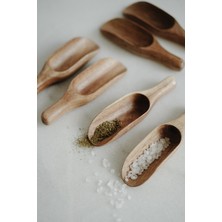 Feyza Design 4'lü Akasya Mini Kürek Seti, Kompakt ve Dayanıklı Bahçe Aracı