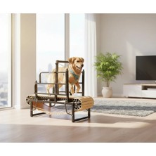 Max Tech Köpek Koşu Bandı