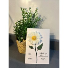 Bernami Pinterest 20 Adet Süslemeli Papatya , Nikah Şekeri, Doğum, Sünnet, Düğün Nişan Söz, Kına, Doğum Günü .