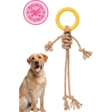 Proud Wave Köpek Oyuncağı Renkli Çekiştirmeli Halat Pamuk - Köpek Isırma Kemirme Oyuncağı Top Diş Ip
