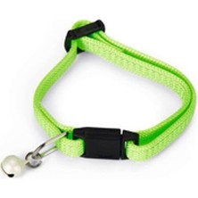 Yavru Kedi Tasması 23 cm Yeşil, 556-730382