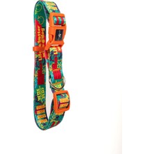 Pawlook Recycled Köpek Boyun Tasması Yeşil Gimme L