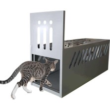 Berta Hijyen Yeni Model Daha Etkili Kedi Canlı Yakalama Kapanı