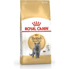 Canin British Shorthair Adult Kedi Maması, 4 kg
