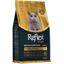 Persian Yavru Kedi Mamasi 1.5 kg