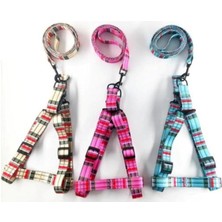 Ayarlanabilir Göğüs Tasma Seti Krem L 2.0X120 cm